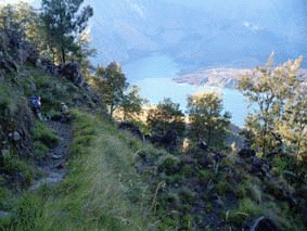66841794.XuYM6jEF.gif